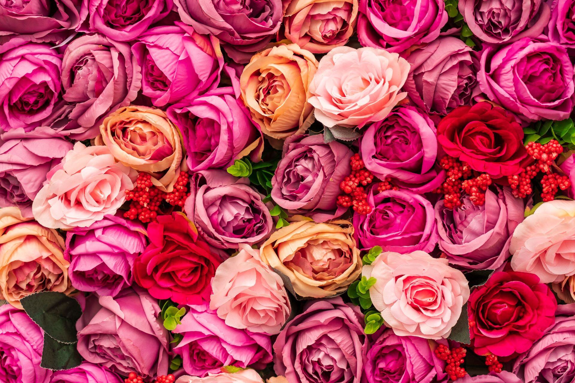 Valentine's Day